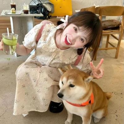 癫疯总动员