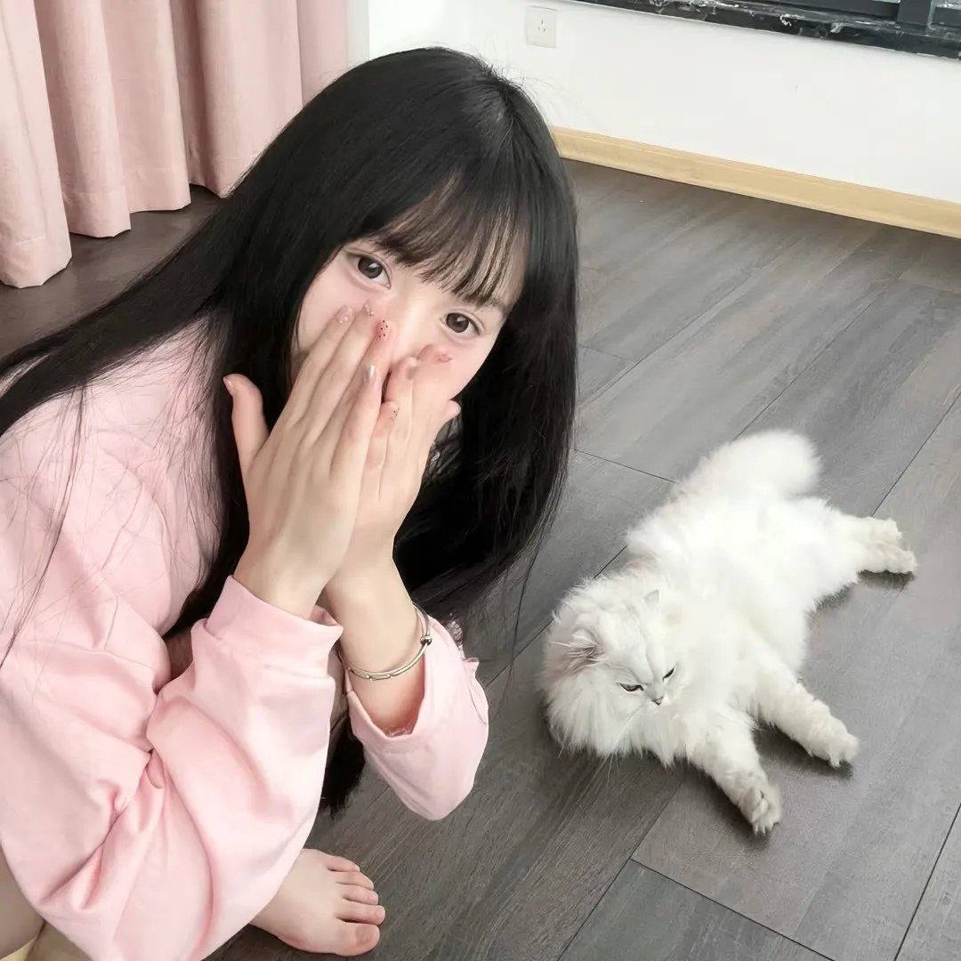 干支魂:猫客万来